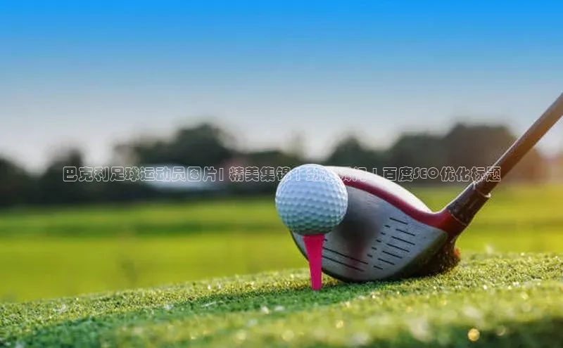 爱游戏app手机官方网站百度学术巴克利足球运动员图片| 精美集锦 | 劲爆瞬间 | 百度SEO优化标题