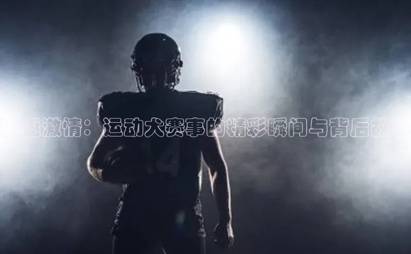 爱游戏app官方入口最新版本华扬联众追逐激情：运动犬赛事的精彩瞬间与背后故事