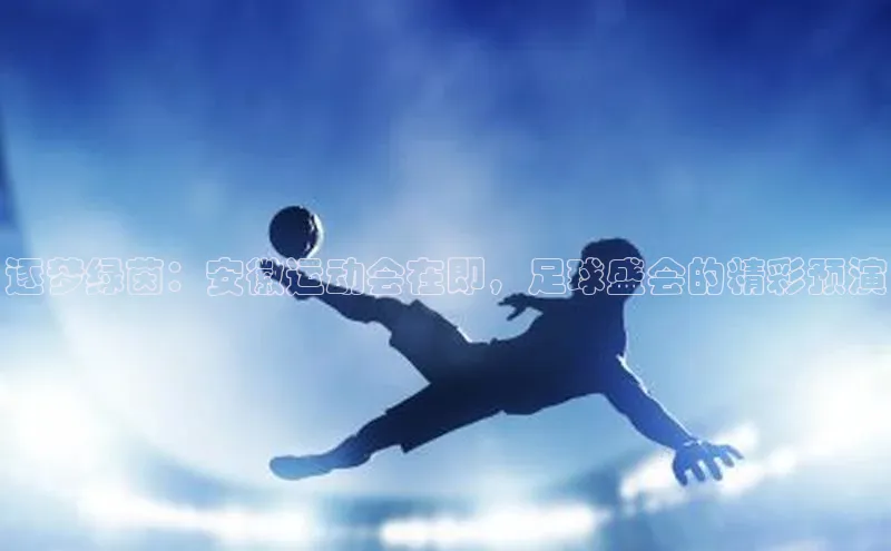 ayx·爱游戏APP登录入口度小满支付逐梦绿茵：安徽运动会在即，足球盛会的精彩预演