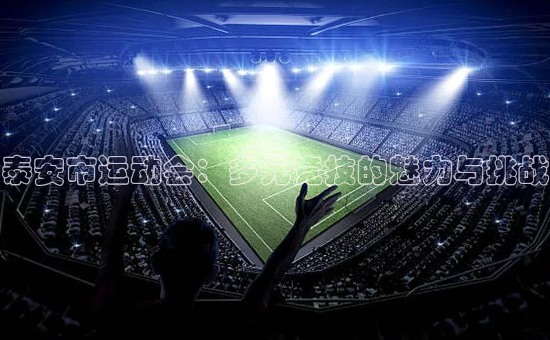 爱游戏官方网站入口登录百度信誉泰安市运动会：多元竞技的魅力与挑战