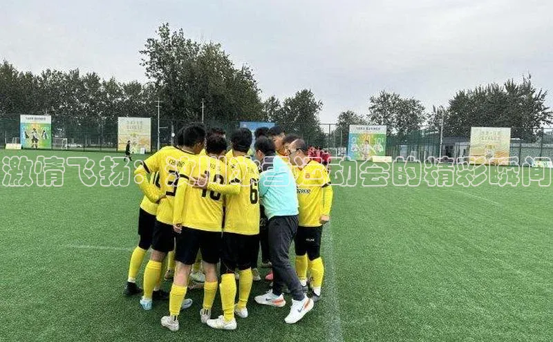 激情飞扬：汶川冰雪运动会的精彩瞬间