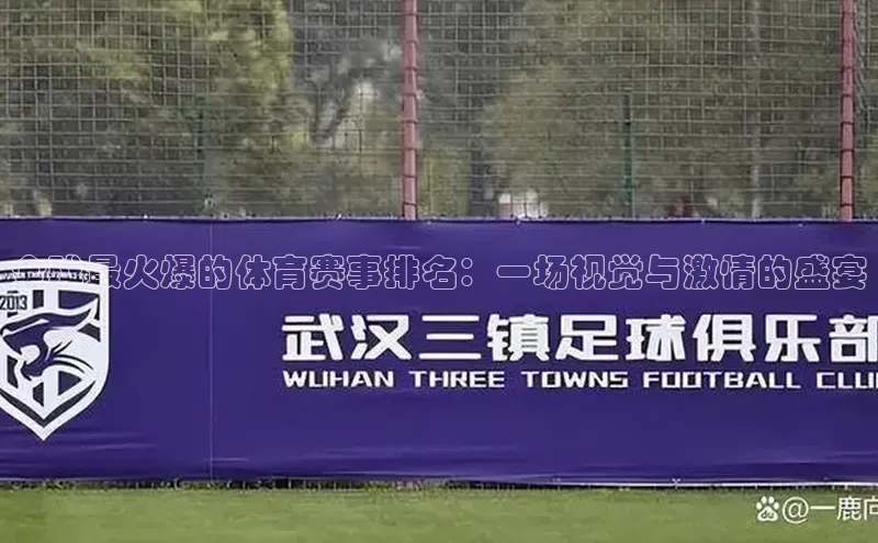 全球最火爆的体育赛事排名：一场视觉与激情的盛宴