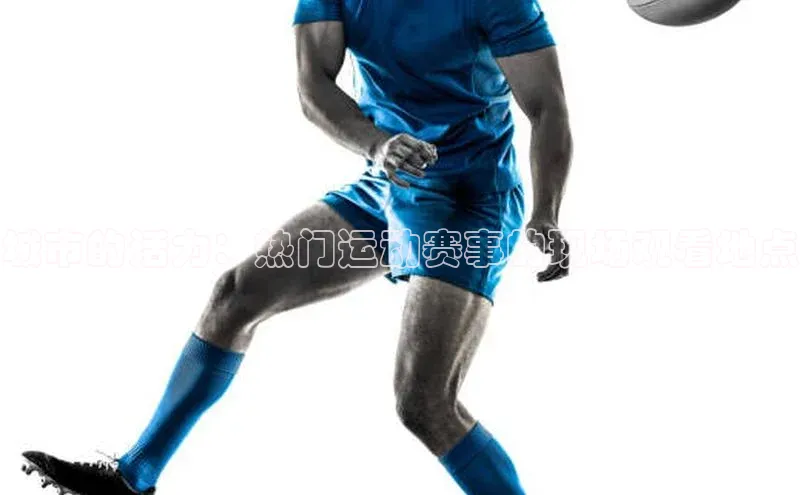 城市的活力：热门运动赛事的现场观看地点