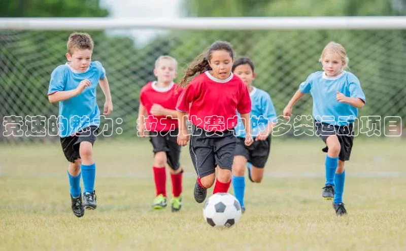 竞速的魅力：拉力比赛中的多类运动项目