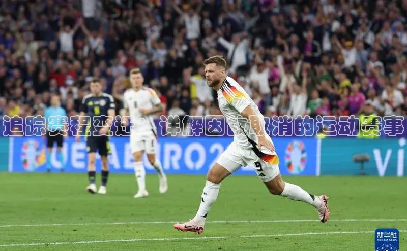 追踪赛程变迁：详解因故取消的运动赛事