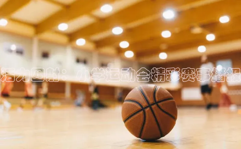 活力四射：小学运动会精彩赛事播报