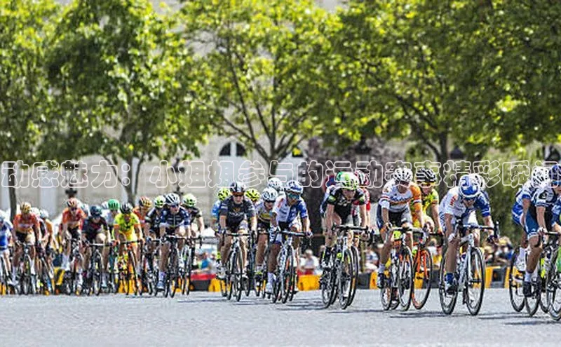 动感魅力：小姐姐参与的运动赛事精彩瞬间