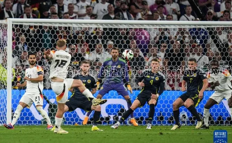 爱游戏官方网站入口登录