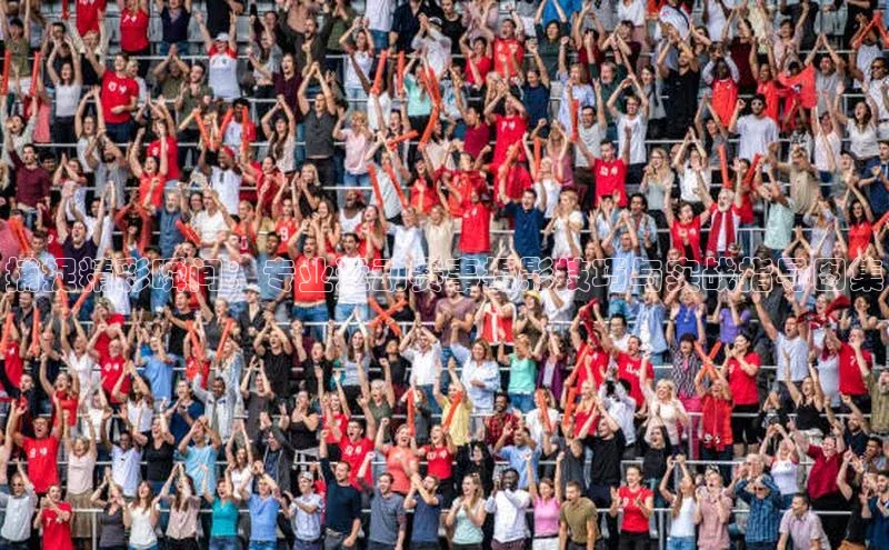 爱游戏平台官方网站