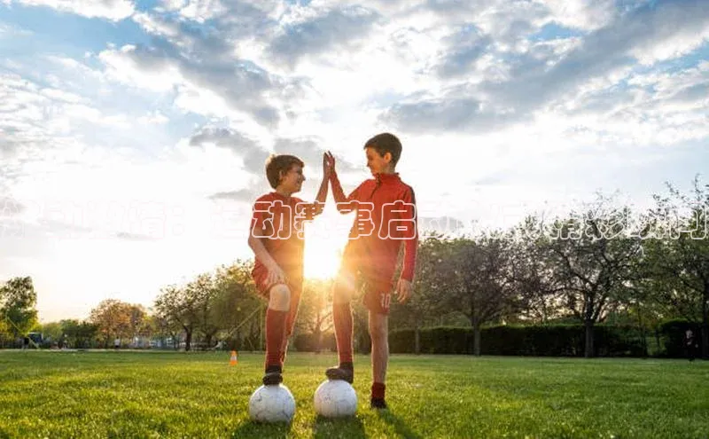 爱游戏app官网登录入口安装方法